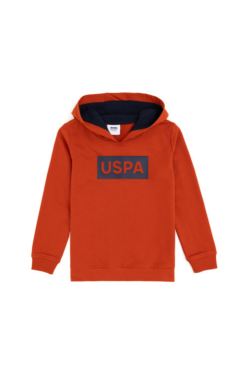 Erkek Çocuk Kiremit Kapüşonlu Sweatshirt 50289125-VR031