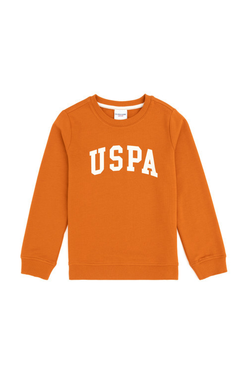 Erkek Çocuk Tarçın Basic Bisiklet Yaka Sweatshirt 50293474-VR191