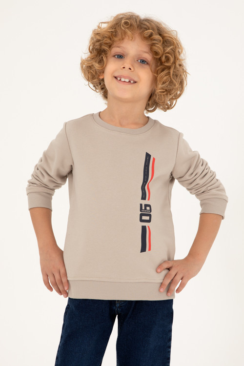 Erkek Çocuk Taş Bisiklet Yaka Sweatshirt 50293546-VR049