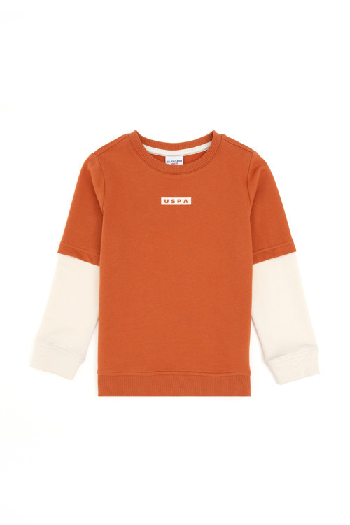 Erkek Çocuk Tarçın Bisiklet Yaka Sweatshirt 50293564-VR191