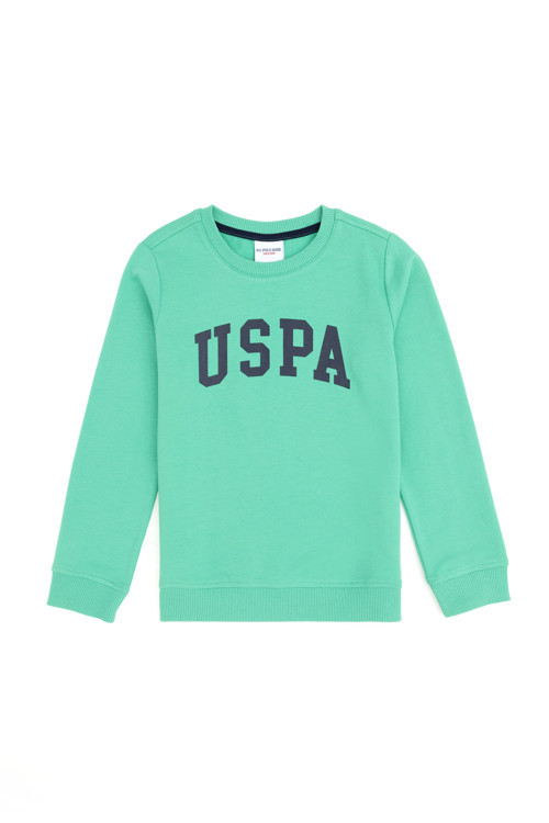 Erkek Çocuk Mint Basic Bisiklet Yaka Sweatshirt 50293474-VR152