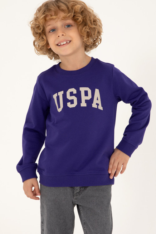 Erkek Çocuk Mor Basic Bisiklet Yaka Sweatshirt 50293474-VR038