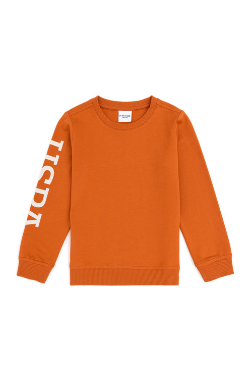 Erkek Çocuk Tarçın Bisiklet Yaka Sweatshirt 50293643-VR191
