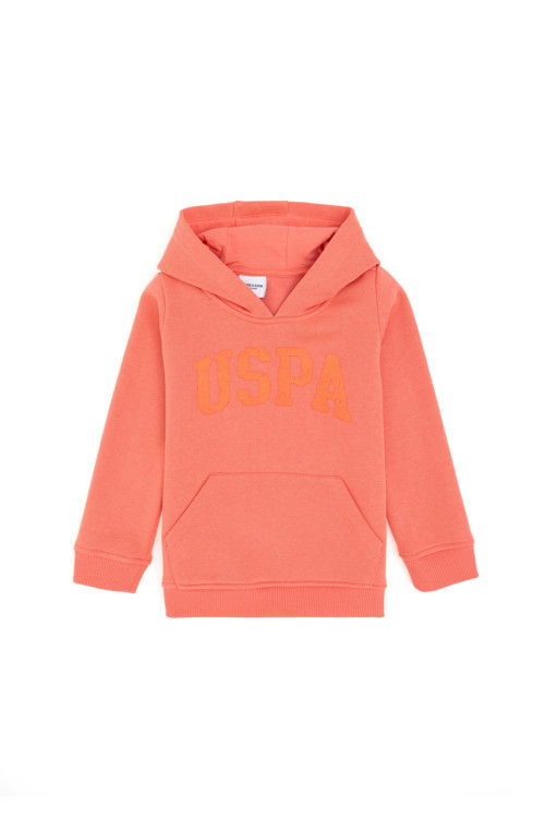 Kız Çocuk Nar Çiçeği Kapüşonlu Basic Sweatshirt 50292512-VR239