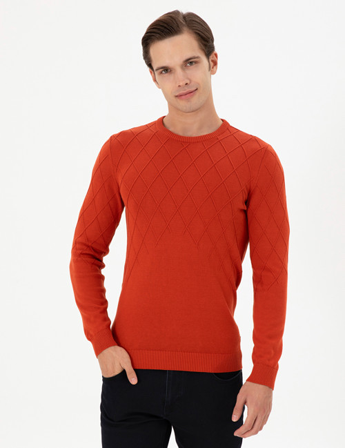 Erkek Slim Fit Bisiklet Yaka Kiremit Kazak 50292863-VR031