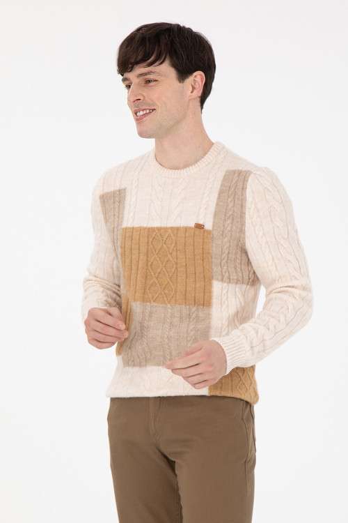 Erkek Regular Fit Bisiklet Yaka Krem Kazak 50292678-VR071