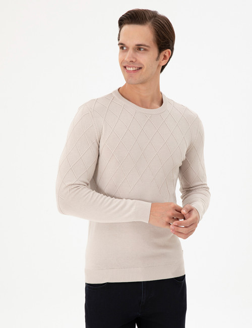 Erkek Slim Fit Bisiklet Yaka Taş Kazak 50292863-VR049