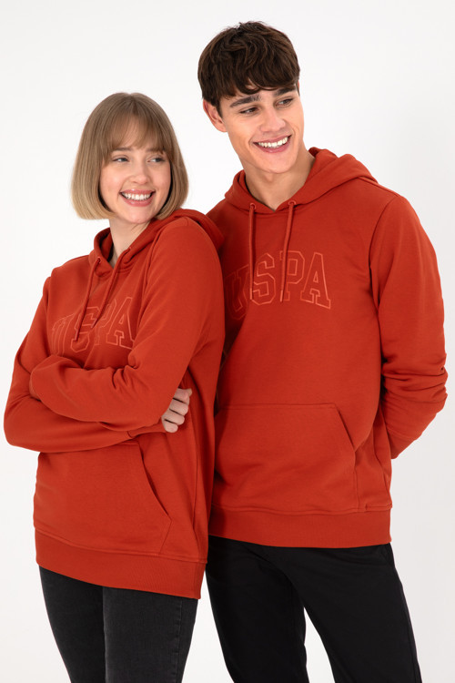 Erkek Regular Fit Kapüşonlu Kiremit Basic Sweatshirt 50295175-VR031