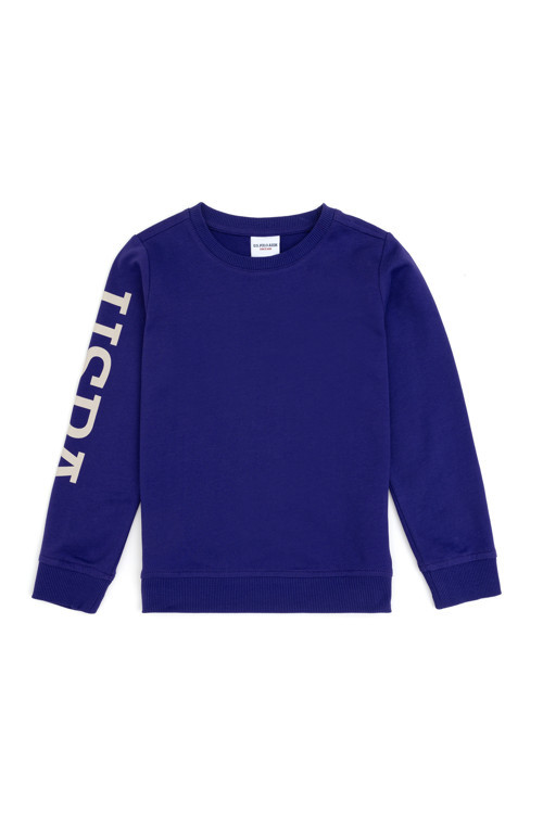 Erkek Çocuk Mor Basic Bisiklet Yaka Sweatshirt 50293643-VR038