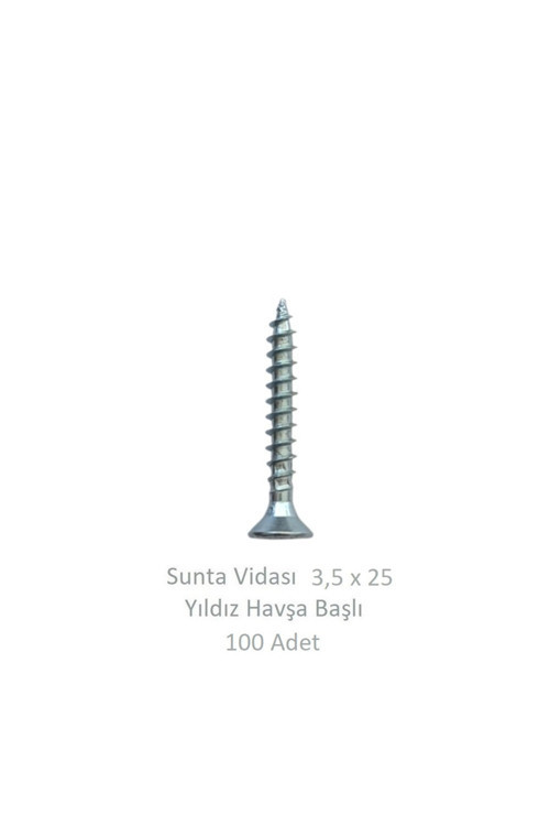 Sunta Vidası 3,5X25, 100 Adet Tam Diş SNT YHB Vida
