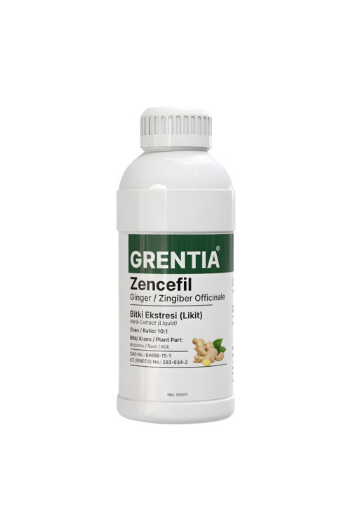 Zencefil Sıvı Ekstresi / Sıvı Ekstraktı 500 Ml - Zingiber Officinale