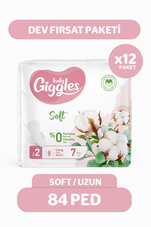 Lady Soft Hijyenik Ped Uzun Dev Fırsat Paketi 84 Adet