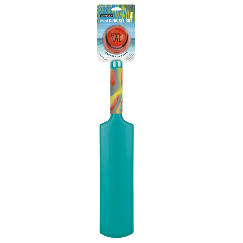 Mini Su Kriket Raketi Deniz ve Havuz için Kriket Plaj Seti (Turkuaz)
