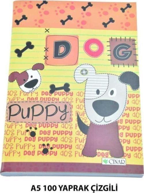 Çınar A5 Çizgili Defter 100 Yaprak 3 Adet