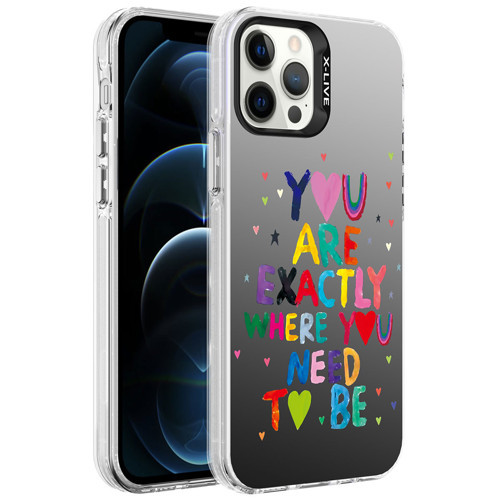 iPhone 12 Pro Max Kılıf Desenli Silver Sert Kılıf - You