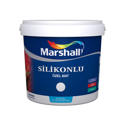 Özel Mat Silikonlu Silinebilir Su Bazlı İç Cephe Boyası BW Baz 1 L
