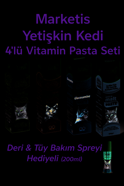Yetişkin Kedi 4'lü Vitamin Pasta Seti