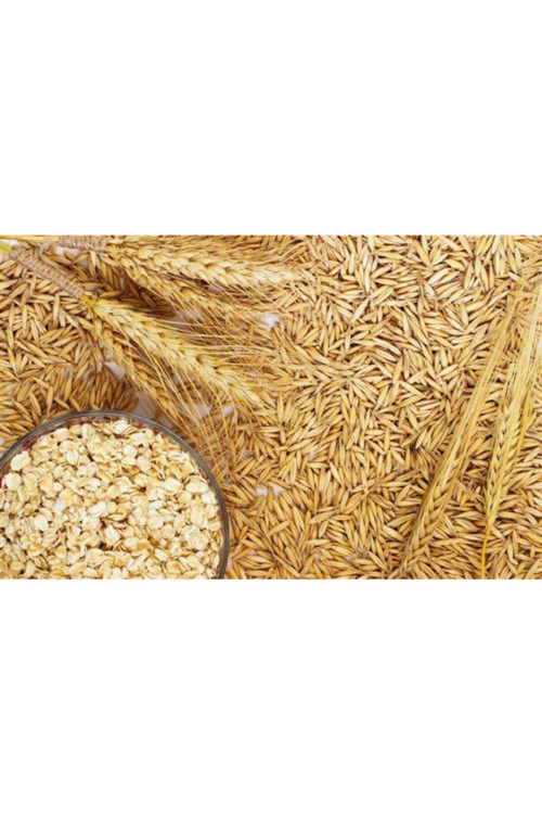 Kuşlar Için Soyulmuş Yulaf 500 Gr
