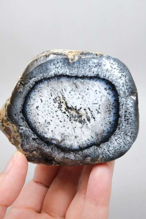Beyaz ve Dumanlı Gri Merlinit - Dendritik Opal Dilimi ile Orbital Siyah Mangan Yüzük, 213g