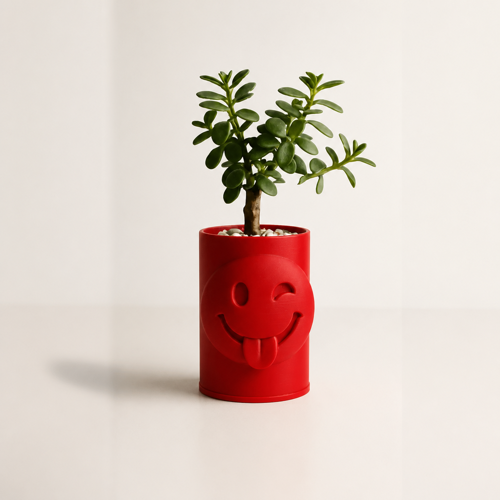 Alvera Emoji Planter – 3D Baskı Göz Kırpan Yüzlü Sukulent Saksısı-Kırmızı