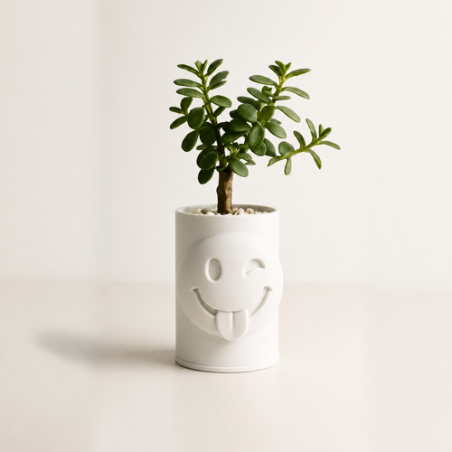 Alvera Emoji Planter – 3D Baskı Göz Kırpan Yüzlü Sukulent Saksısı-Beyaz
