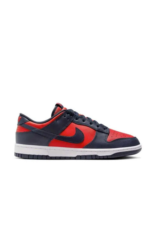 Dunk Low Retro SE Erkek Sneaker Ayakkabı
