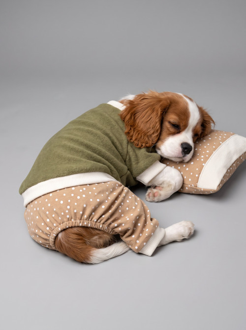 Latte & Matcha Köpek Rüyası | Pamuklu Köpek Tulumu, Polar Sweatshirt ve Mini Yastık | 3 Parça