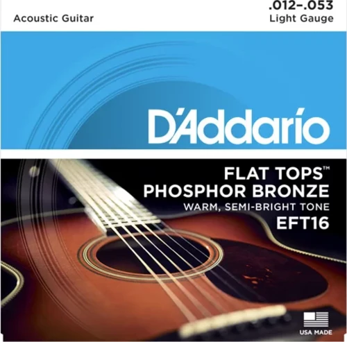 Daddarıo Eft16 Akustik Gitar Tel Seti, Flat Tops, Phosphor Bronze