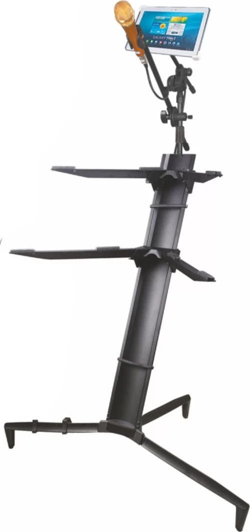 Tower Sk-300b Siyah Org Standı