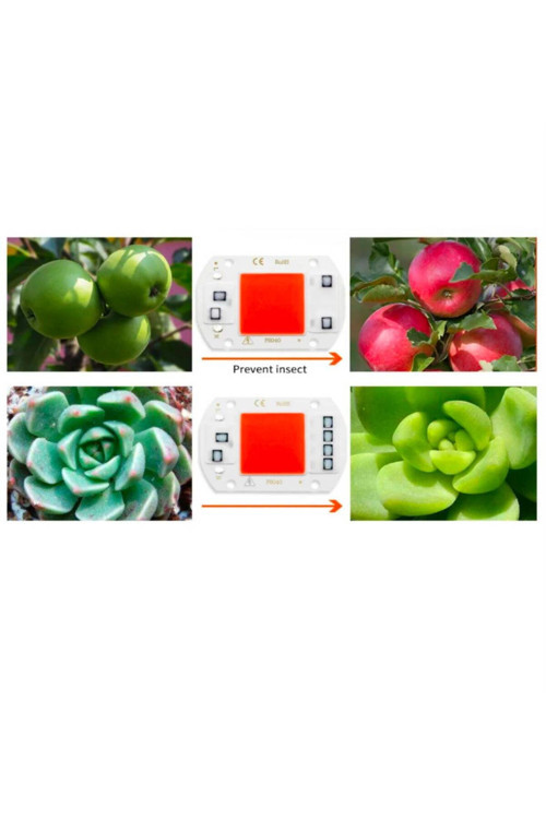 Grow Cob Led 50W 220V Full Spectrum Ürün Yetiştirme Ledi