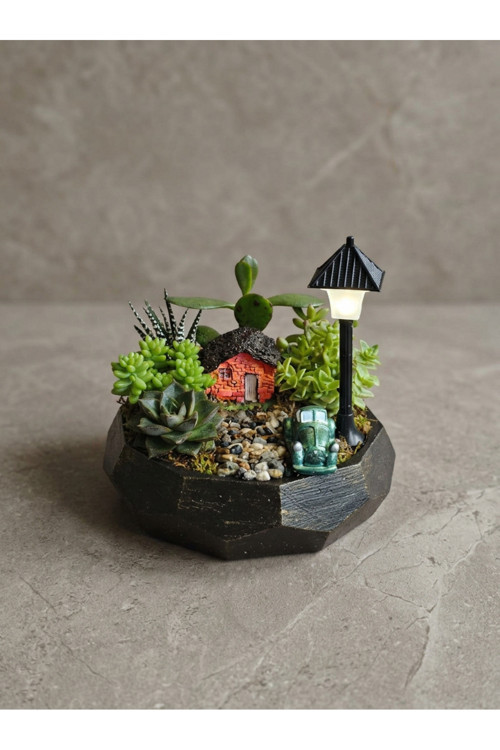 Işıklı Sokak Lambalı Mini Hobi Bahçesi Teraryum Seti