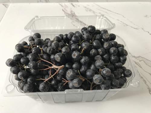 Taze Aronya Meyvesi(Süper Meyve Aronia Melanocarpa) - 10 KG