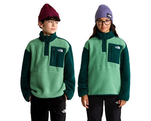 TEEN YUMIORI 1/4 ZIP JACKET Çocuk Outdoor Çeyrek Fermuarlı Polar Üst NF0A8J61JZX1 Mavi