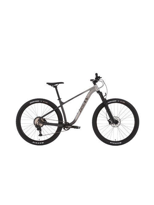 HARDTRAIL ERKEK DAĞ BİSİKLETİ 43 CM HD 29 JANT 8 VİTES SİYAH GRİ SİYAH GRİ