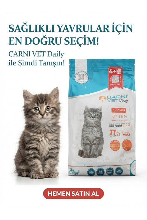 Daily Yavru Kedi Maması Tavuklu 5 Kg