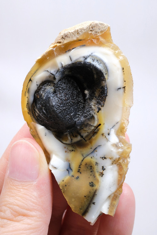 Küçük Sarı Dendritik Opal Jiyot ile Doğal "Göz" Oluşumu ve Siyah Druzy Çekirdek, 41g