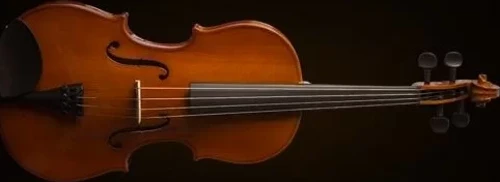Valencıa Va16038 Viola Kutulu 15"(38cm)