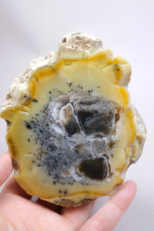 Bal-Sarı ve Buz-Mavi Dendritik Opal Levha - Kuvars Jeot Boşlukları ve Siyah Dendrit Tüyler, 377g