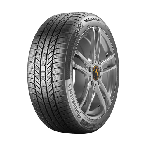 WinterContact TS 870P 215/65R17 99H M+S 3PMSF FR Kış Lastiği (Üretim Tarihi: 2026)