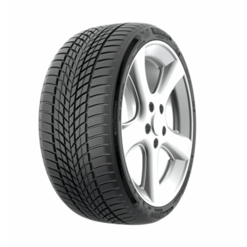 RoadFun Winter 205/55R16 91H M+S 3PMSF Kış Lastiği (Üretim Tarihi: 2026)