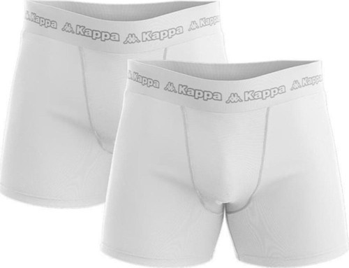 Erkek Boxer 2 li BALSA
