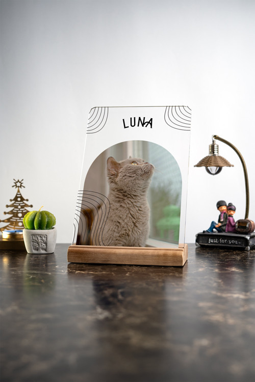 Evcil Dostlar Kedi - Köpek Hediyelik Kişiselleştirilebilir Masa Dekouru