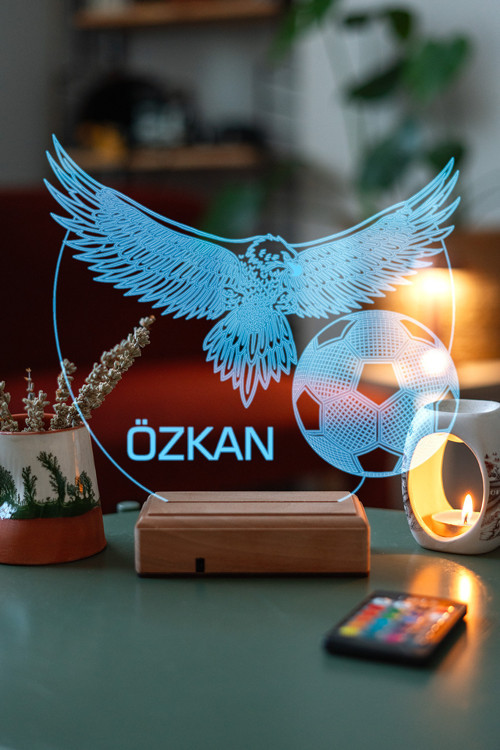 Kişiye Özel Kara Kartal 3D 16 Renk Led Gece Lambası