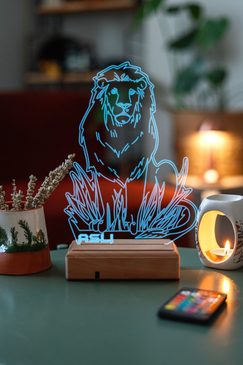3D Aslan Hediye 16 Renk Dekoratif Led Lamba