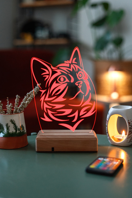 Kedi 3D 16 Renk Gece Lambası