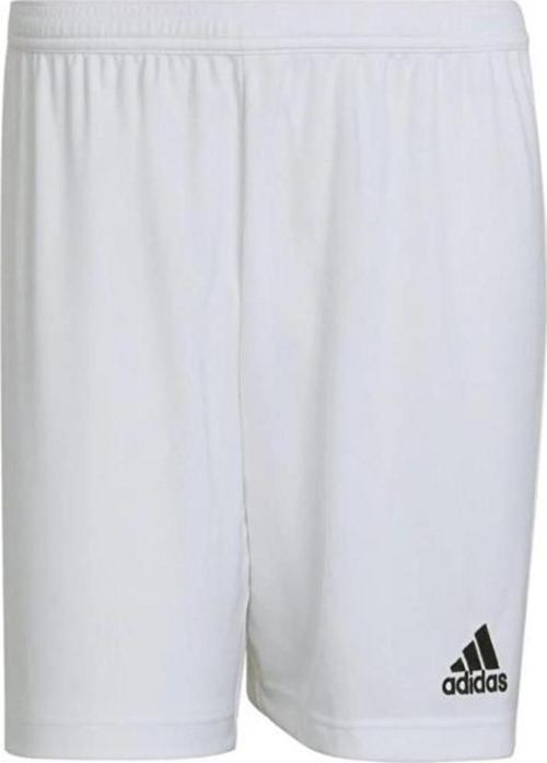 Hg6295 Ent22 Short