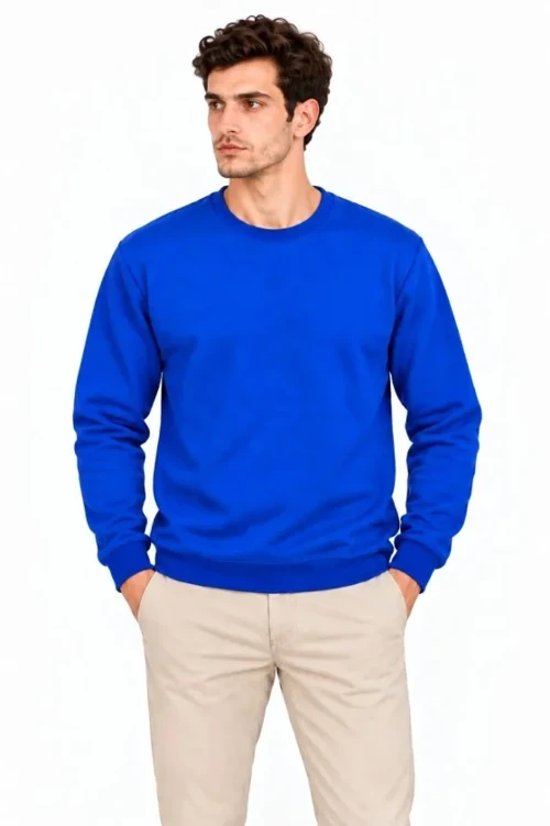Erkek Bisiklet Yaka İçi Şardonlu 2 İplik Düz Uzun Kollu Regular Fit Sweatshirt - Mavi