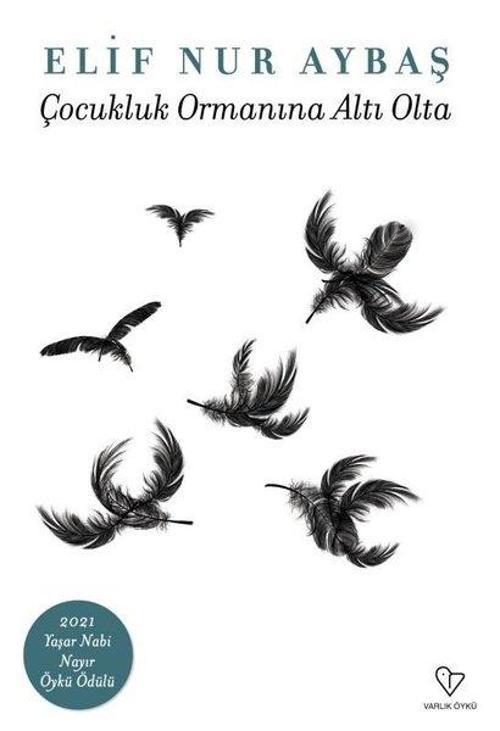 Çocukluk Ormanına Altı Oda