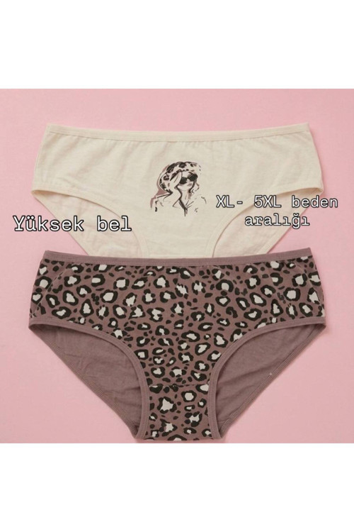 Büyük Beden Pamuklu Külot Leopar Desenli Ve Kız Figürlü 2'Li Paket Hipster Yüksel Bel