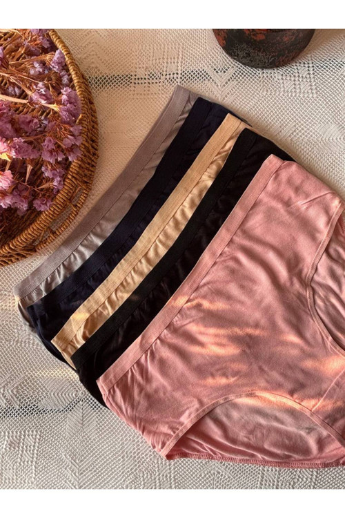 Yüksek Bel 5'Li Paket Büyük Beden Kadın Külot Düz Renk
